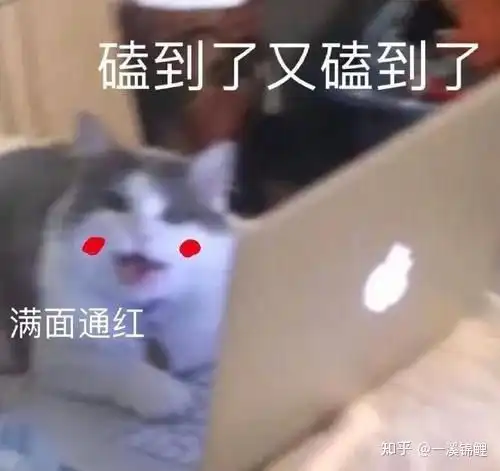磕cp表情包博君一笑缩鼻