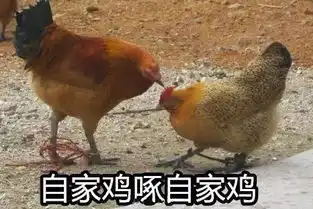  鸡年到了,这全套鸡年表情包,您要收到起