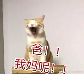  男人女人都喜欢摸这个部位轻松一刻4月14日晚间版
