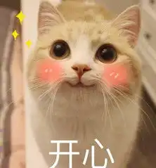  网红bobi猫表情包下载飞翔下载