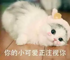  双子座和天秤座在一起合适吗