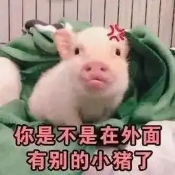你是不是不爱我了表情包