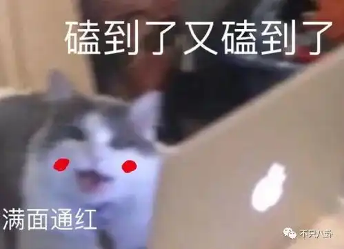  不是吧神仙爱情里居然吃出了狗血三角恋瓜