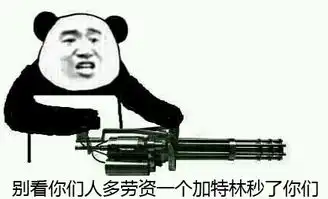 各个表情包的意思加特林
