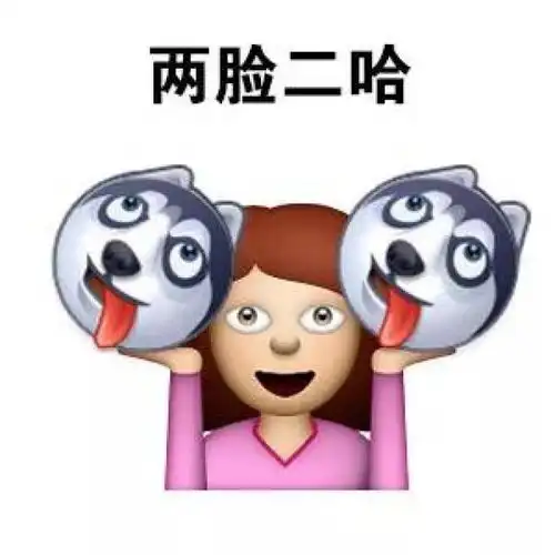 小哈皮表情包拜年