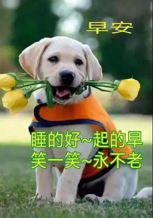  7月10日周六清晨早上好问候祝福动态表情图片7月最新早安问候祝福图片带字温馨