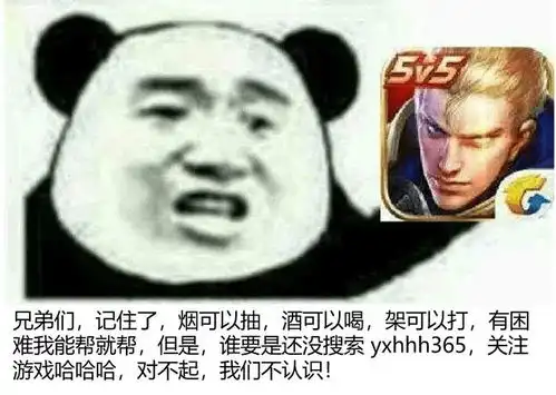 王者荣耀讨皮肤表情包王
