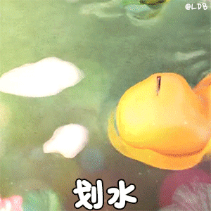  可爱的小奶龙表情包四十六