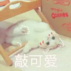 电话,地址,价格,营业时间