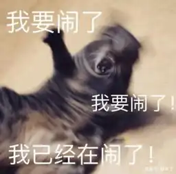  我养了7年的猫,每天都想趁机杀死我