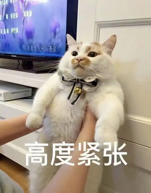  什么时候可以出去理发啊