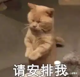  如何礼让行人看完始兴交通规则宣传片秒懂