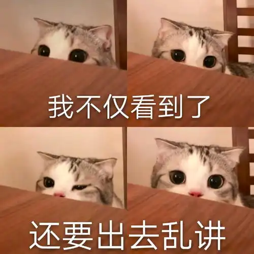  动漫怼人表情包不分期