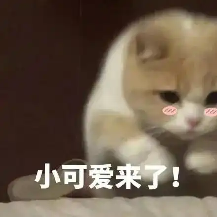  warmsummer表情包大赏