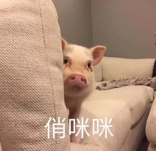  哈哈哈哈哈哈哈哈哈哈,收藏许久的搞笑表情包分享一下