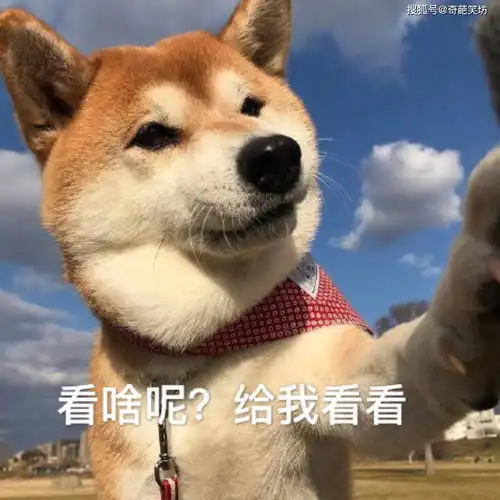  幽默笑话小时候爸爸很疼我打我从来没下过狠手
