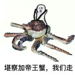  皮皮虾泥够了最想胖揍皮皮虾5大表情象拔蚌排第二谁排第一