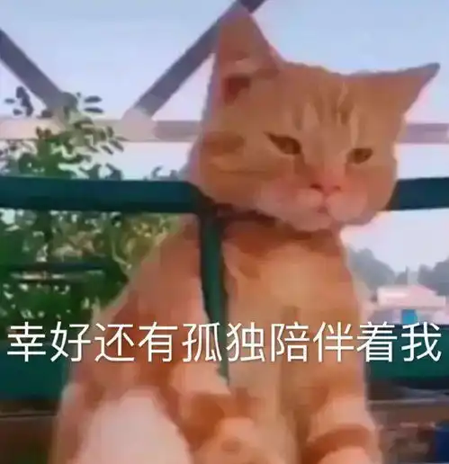 充电器套路表情包电视剧