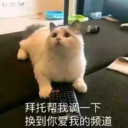  全网最大尺度情侣表情包,男票看完疯狂害羞心跳