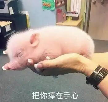  35个撩女朋友专用表情包为什么要害我,害我这么喜欢你