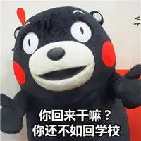  熊本熊表情包下载熊本熊表情包微信下载共9张腾牛下载