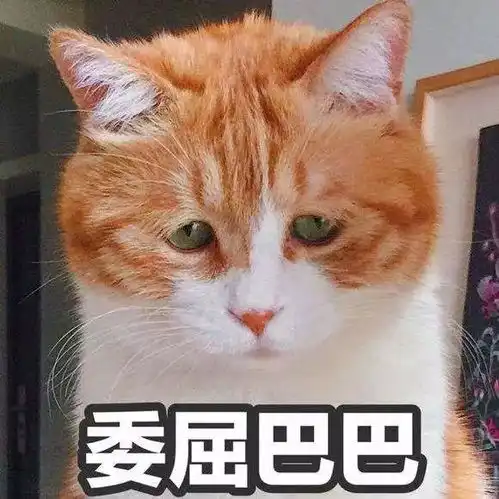  没钱养猫狗别逗了,它们不仅能让你快乐,甚至比你赚得还要多