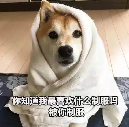  开心一刻笑话刚上高中的时候,在网上认识一个初中的小萝莉