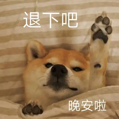 早啊表情包可爱2021年