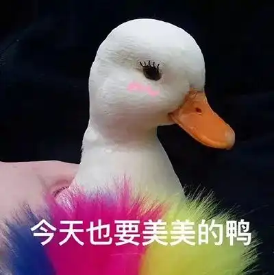  之花儿隔墙亲家妙事多