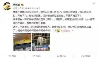  那只用表情入侵地球的网红猫,今天终于要回喵星了