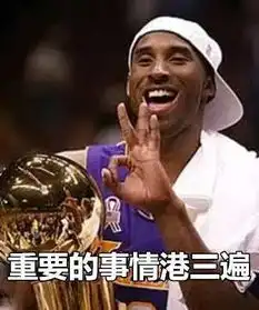  824个表情包回顾科比的篮球生涯附动态表情