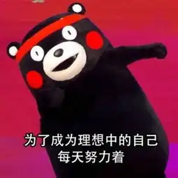  梦想的重量