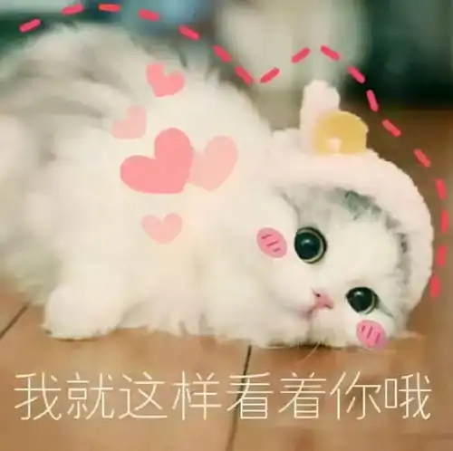 可爱文案,奶里奶气的小皮句,憨憨可爱甜句