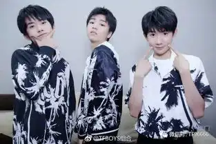  没错我只允许四个人宠爱tfboys