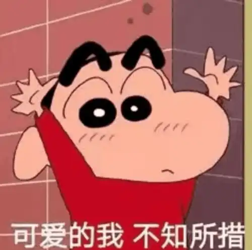  我知道我伸出手你不会跟我走