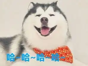  开学了海大的研究生们,欢迎回来