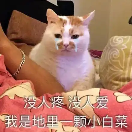  这些照片里面肯定有你妈