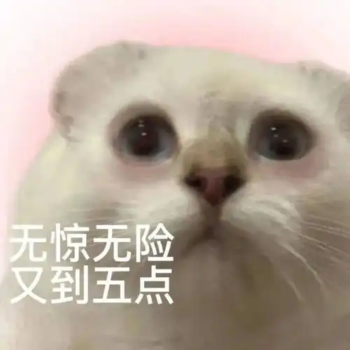 吃惊的表情包文案哈哈哈