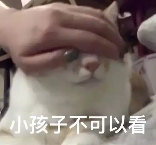  印度四侠,轮了巨蜥公的