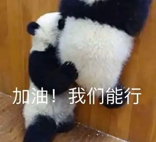  速看985汉硕院校有哪些