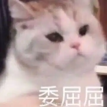 求分享表情包情侣撒娇专用