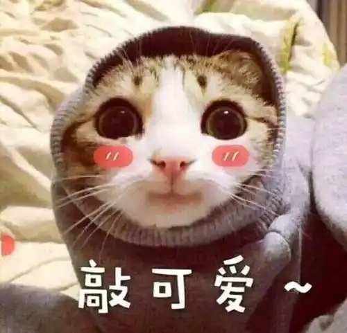  私藏护肤干货冬天手脚冰凉虚火上行脸发烫如何调理
