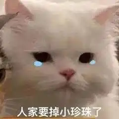  表情包老板新年好
