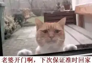  据说男人们婚后都是这样的,你躺枪了吗