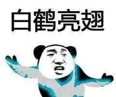  抖音武功秘籍我将毕生武功全都传给你熊猫头无水印表情包