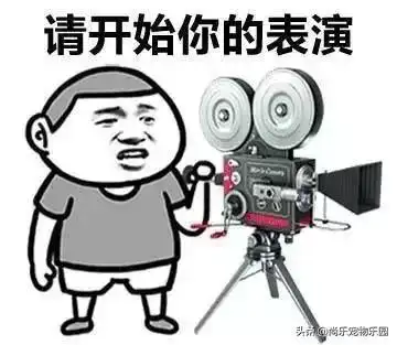  老妈拿着手机跑过来说女儿,你咋存了这么多和尚的号码啊