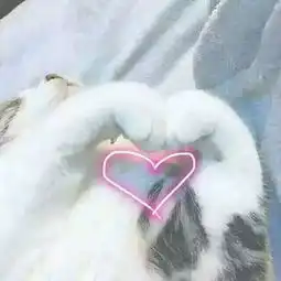  阳光下的绿迷彩致教官风华正茂时