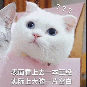  可爱沙雕表情包永不嫌多