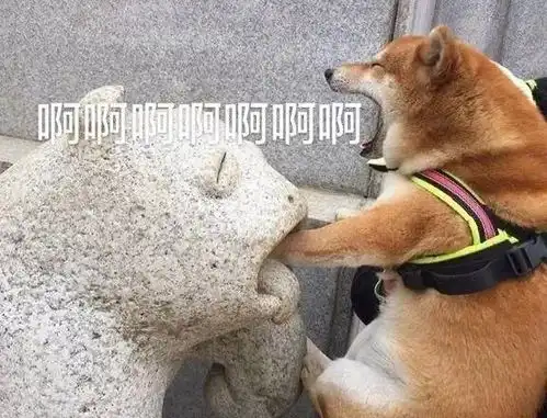  听说这些梗只有本专业的人才懂