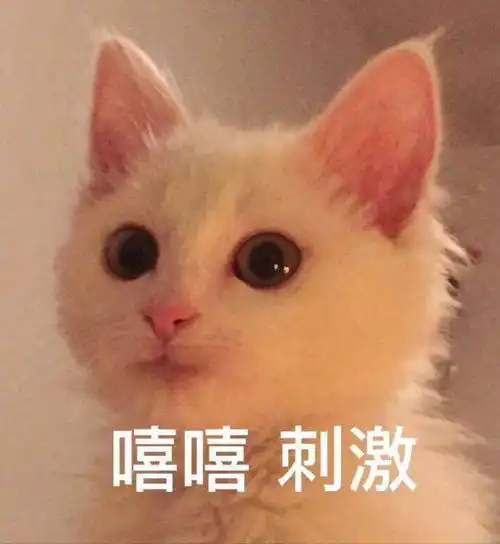  有没有一些比较拽比较野的文案